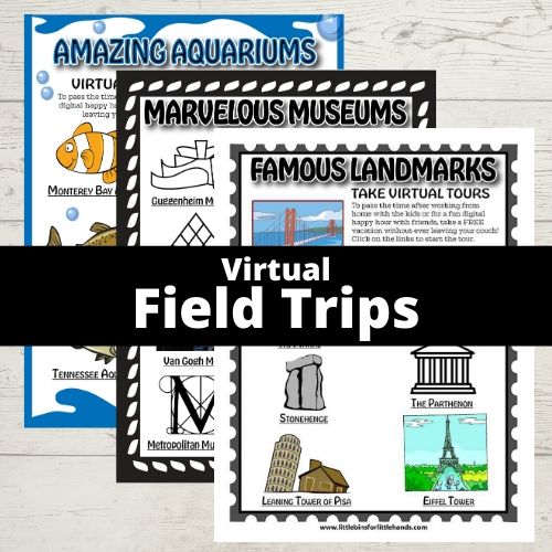 year round Virtual Fiedl Trips