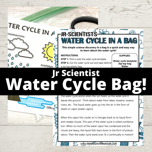 water cycle bag