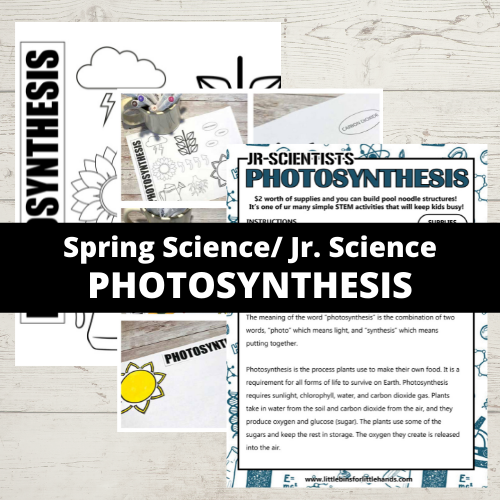 photosynthesis