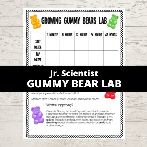 gummy bear lab