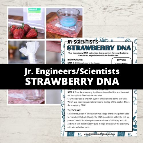 strawberry dna