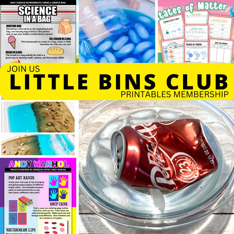 LITTLE BINS club promo