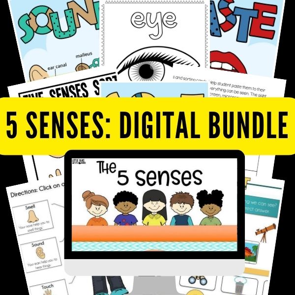 5 Senses Digital Bundle SalesCheckout Image