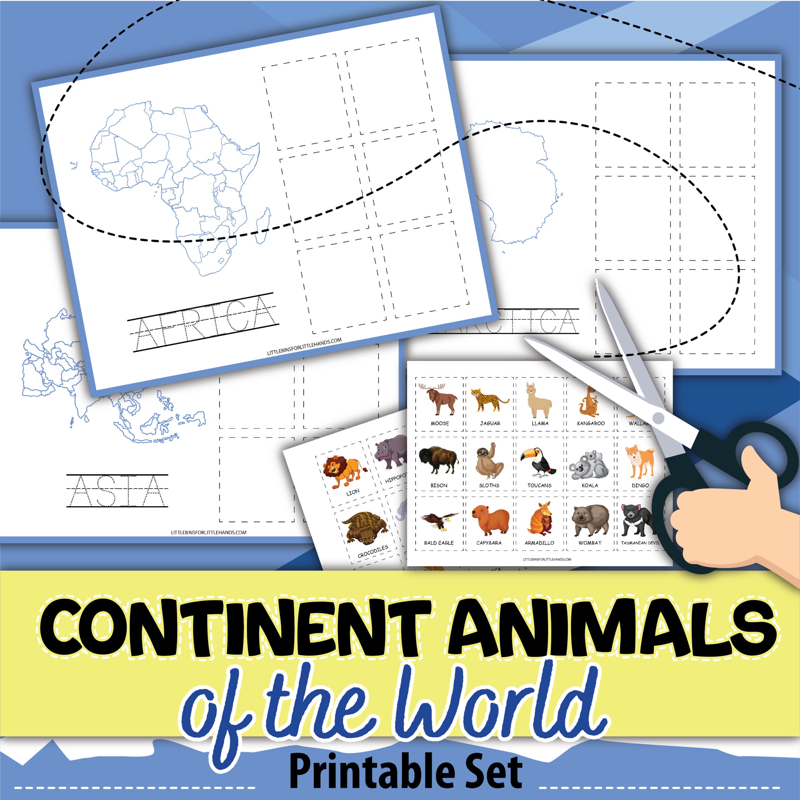 Continents World Animals