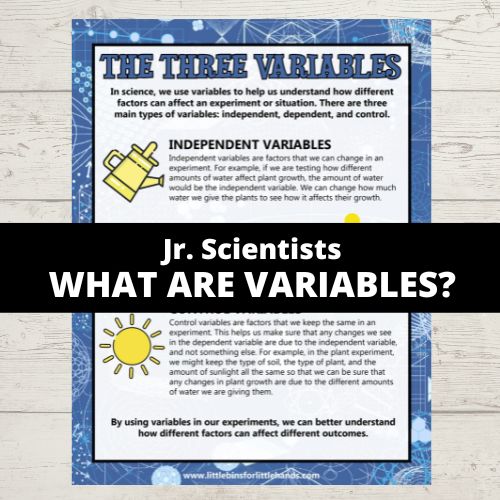 variables members