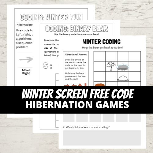 winter hibernation binary code and coding game