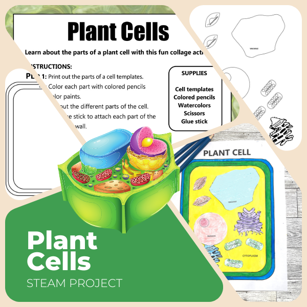 plant cell biology download