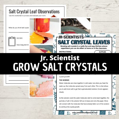 salt crystals