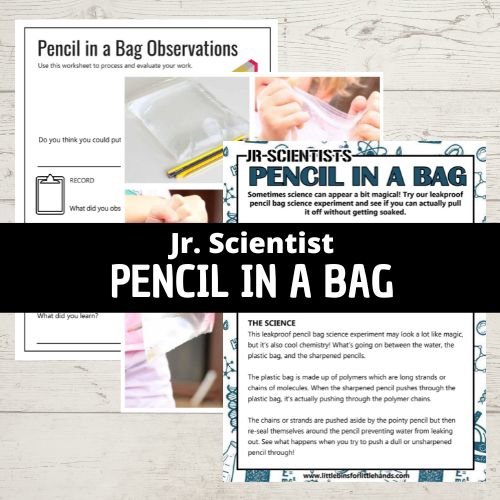 pencil bag