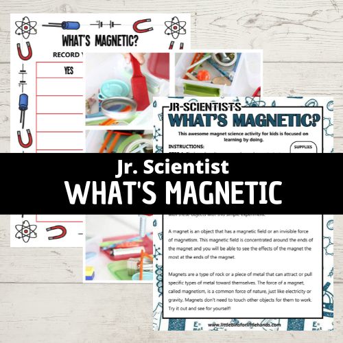 magnet