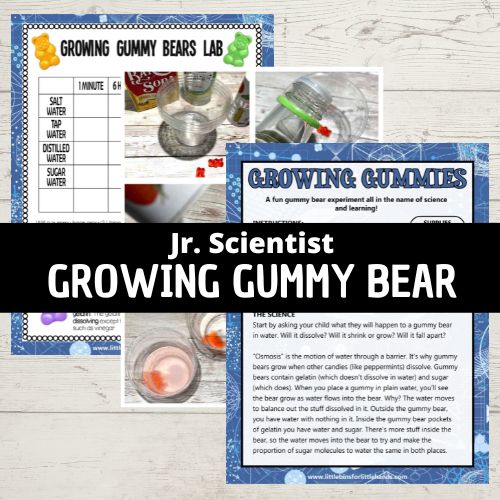 gummy bear