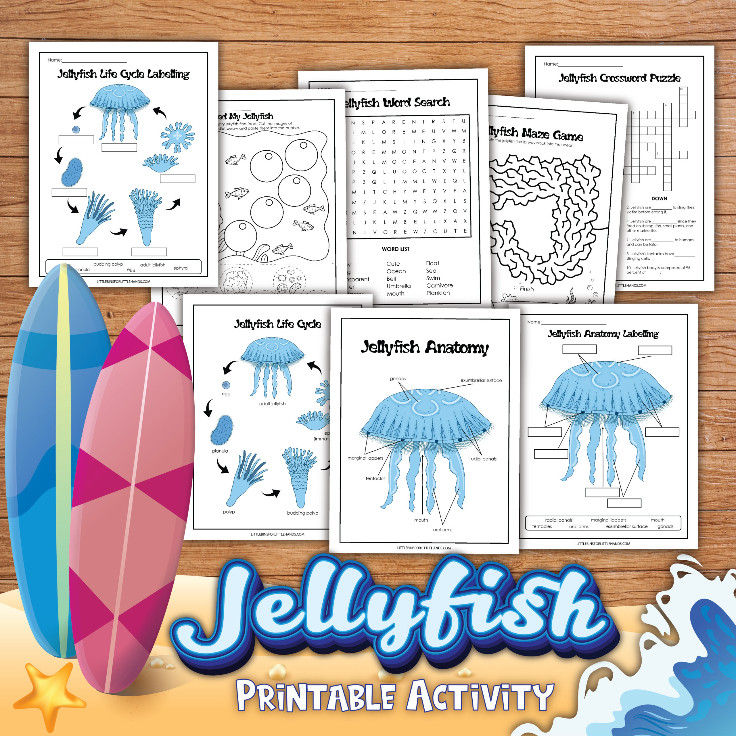 jellyfish
