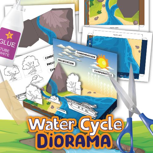 water cycle