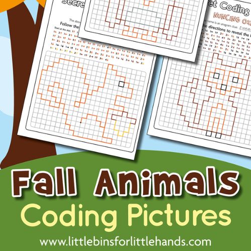 fall animal coding