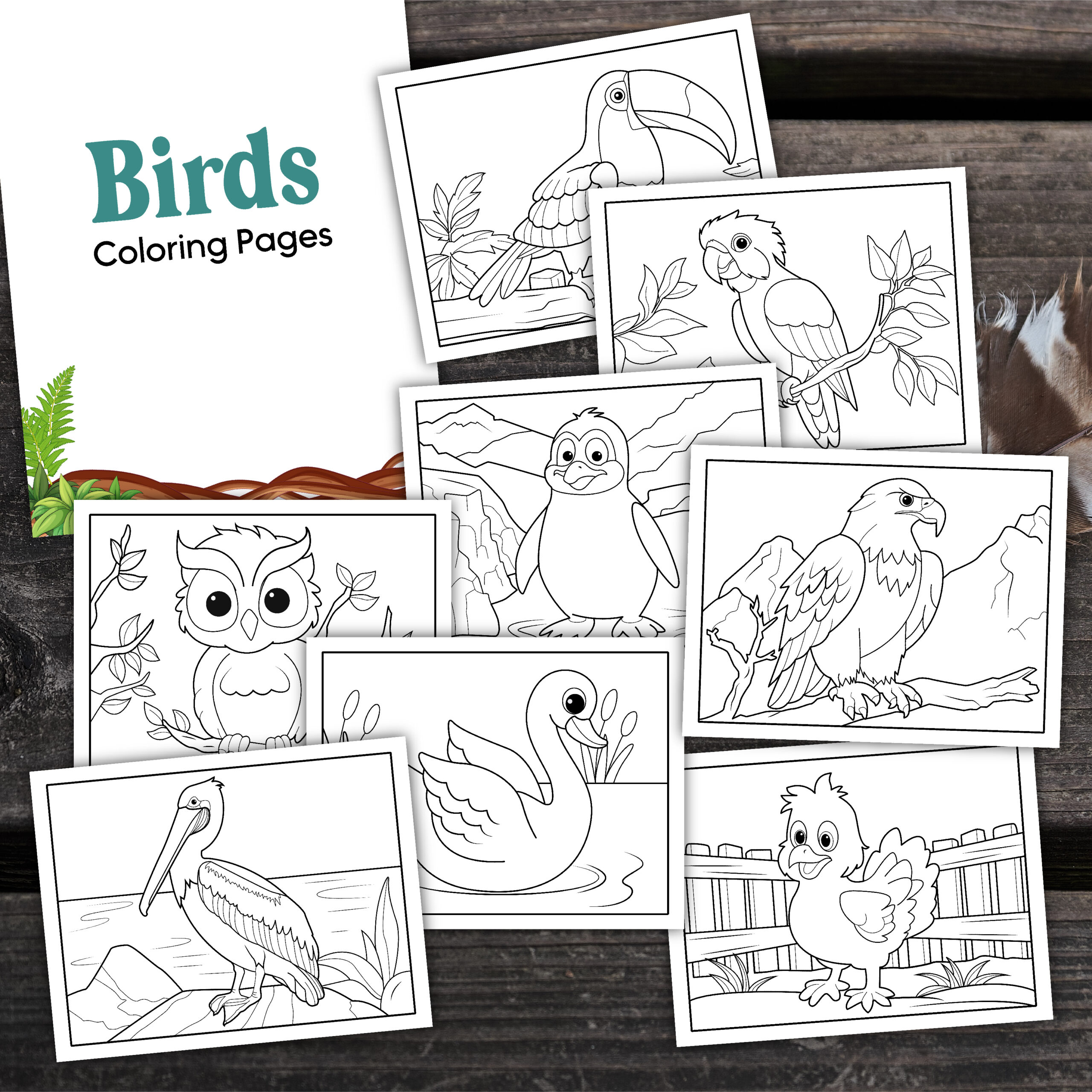 bird coloring pages