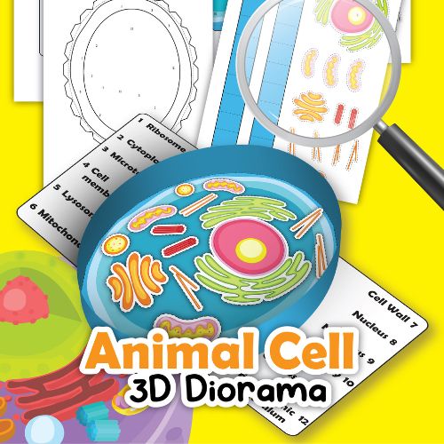 animal cell worksheets