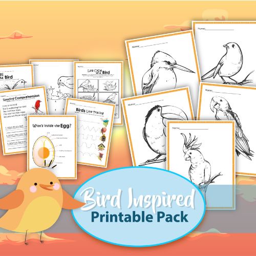 bird worksheets