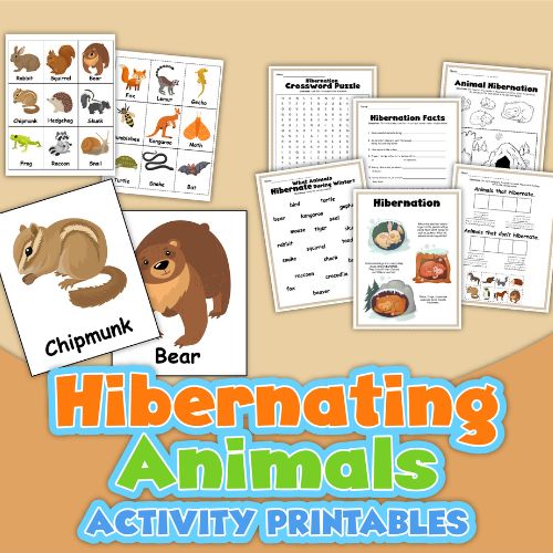 hibernating worksheets