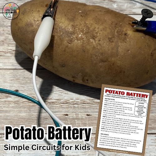 potato battery (500 x 500 px)