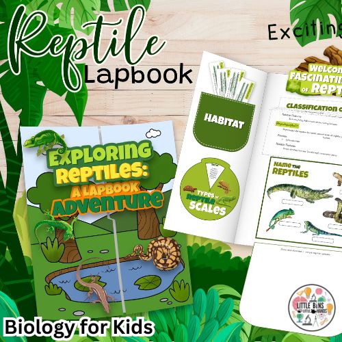 reptile lapbook pin (500 x 500 px)