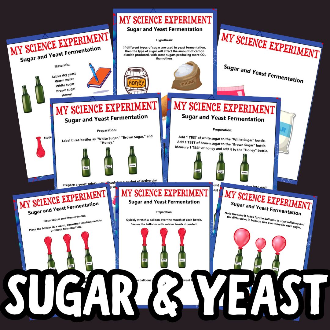 sugar yeast