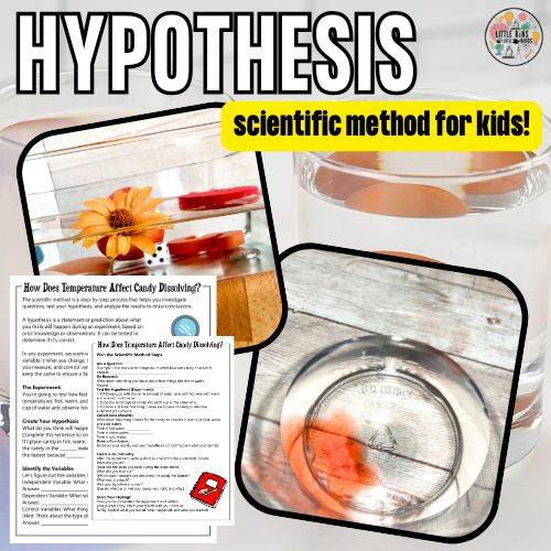 hypothesis (500 x 500 px)