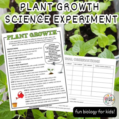 plant growth experiment (500 x 500 px)