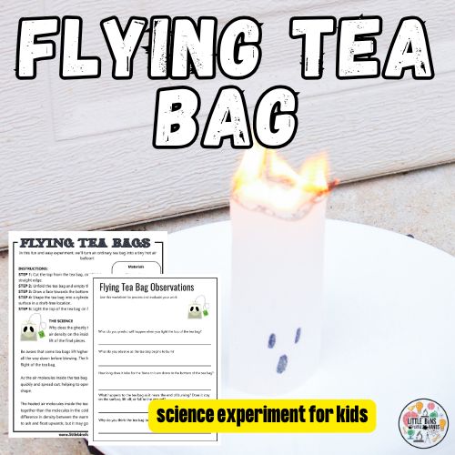 flying tea bag (500 x 500 px)