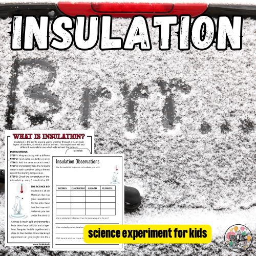 insulation (500 x 500 px) (1)