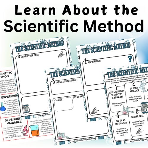 scientific method