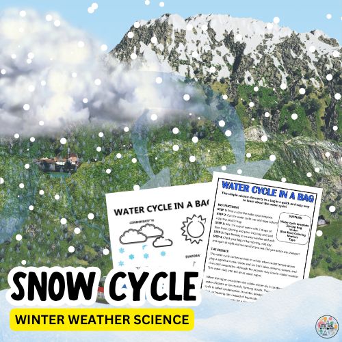 winter water cycle square