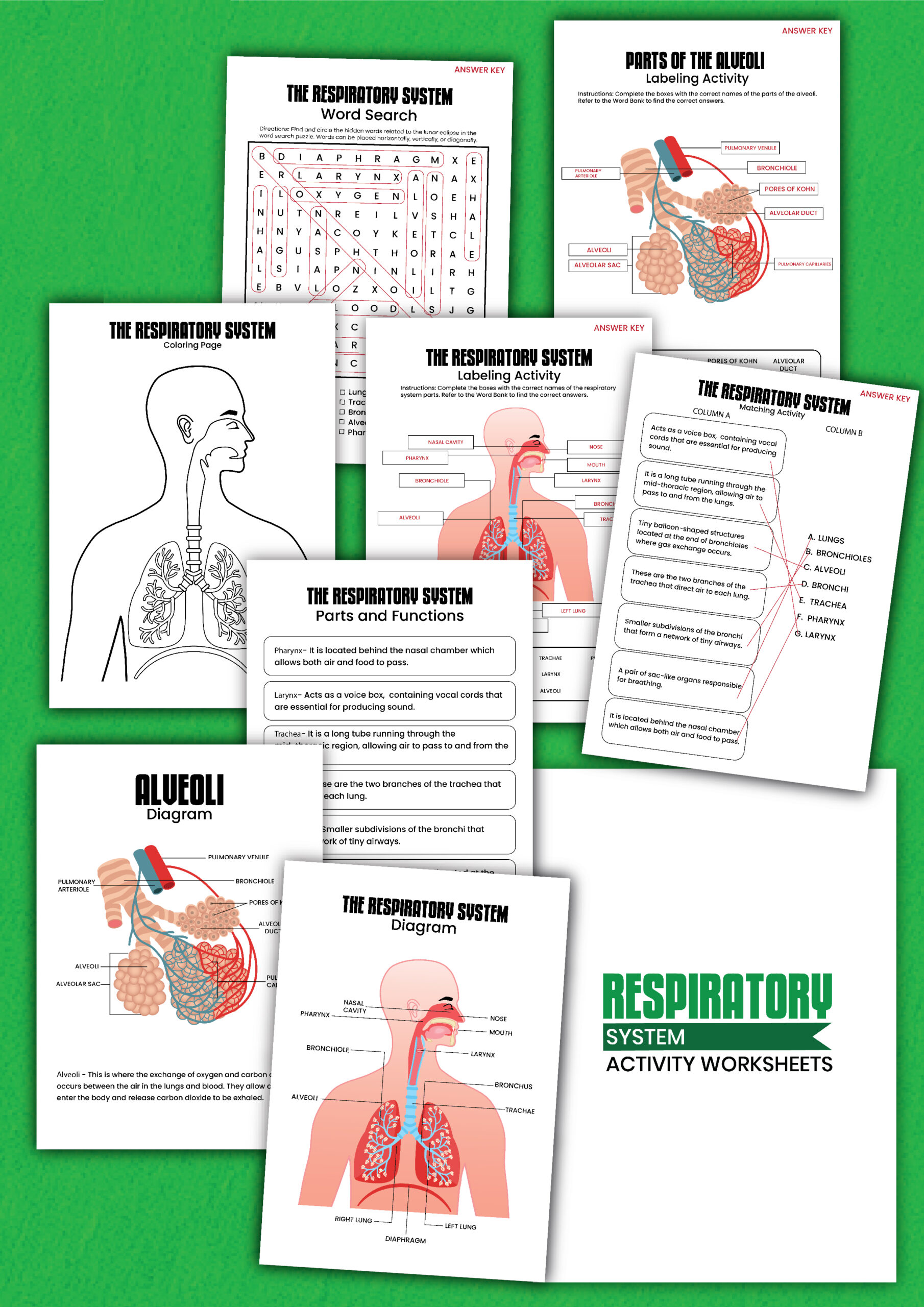 respiratory