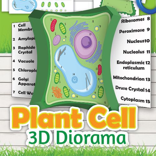 plant cell printable model square