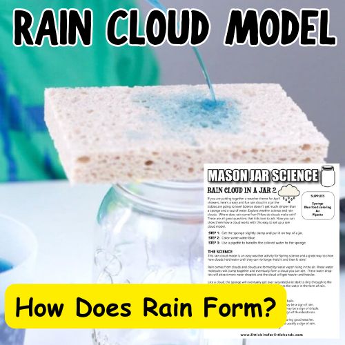 Rain Cloud How Does Rain Form for Kids