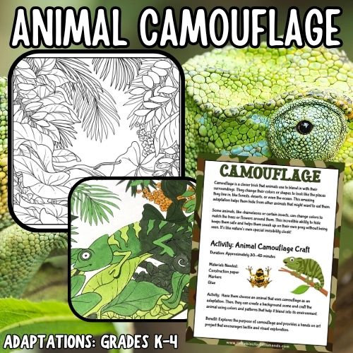 Animal Camouflage Adaptation Project