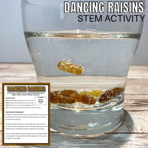 Dancing Raisins STEM square