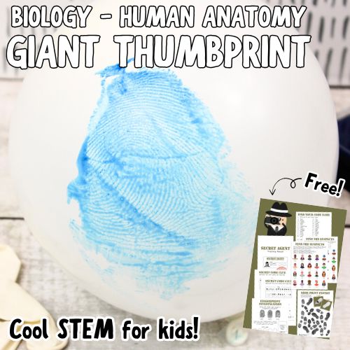 Giant Thumbprint (500 x 500 px)