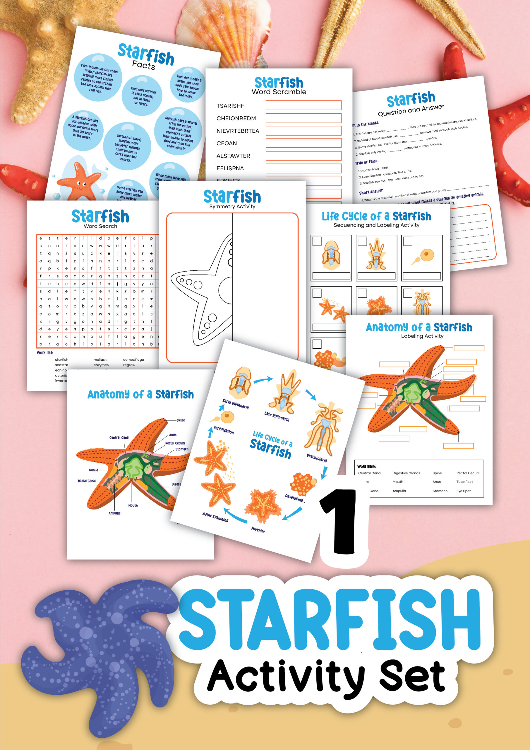starfish