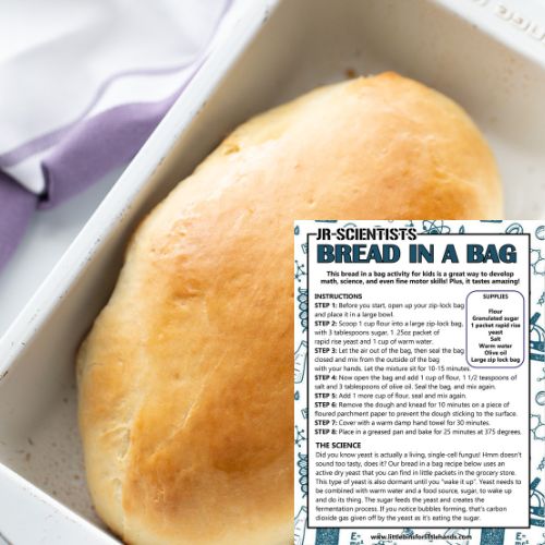 bread