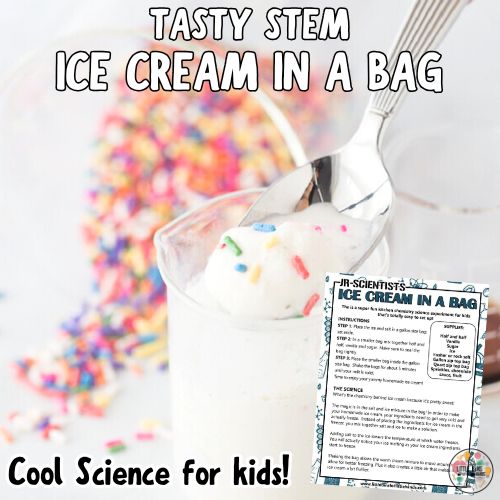 ice cream in a bag pin (500 x 500 px)