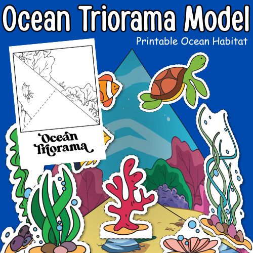ocean habitat diorama for kids