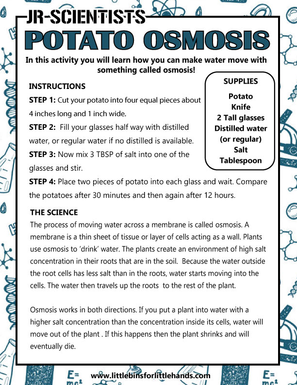 potato-osmosis