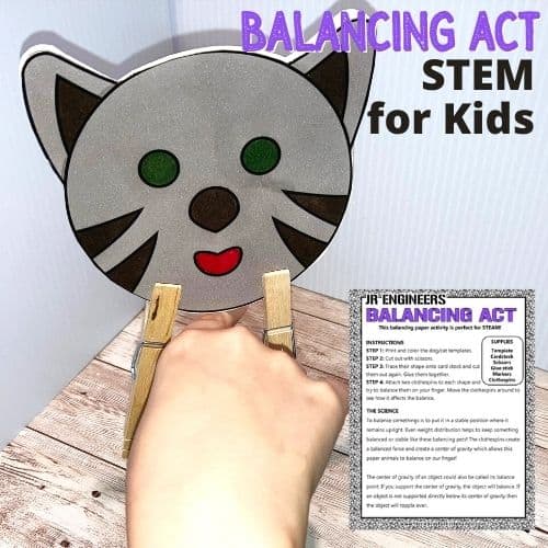 Balancing-Animal-Project-Square