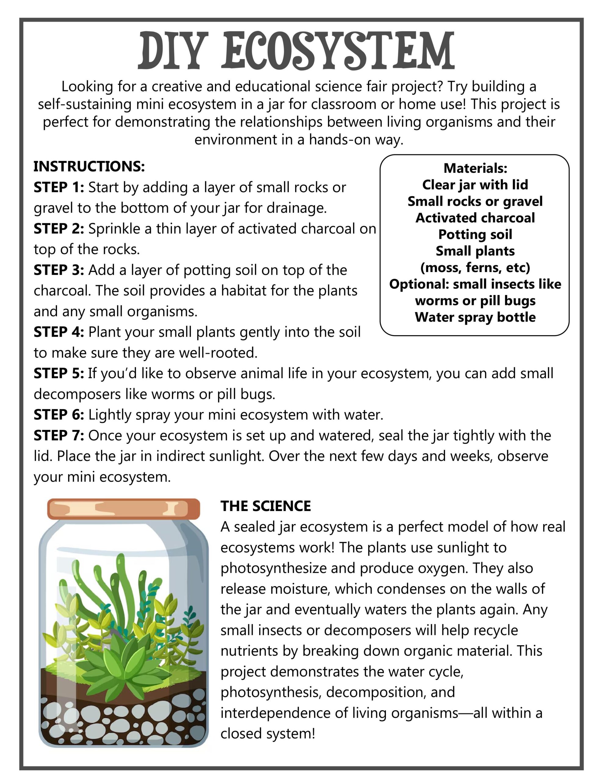 DIY Ecosystem Jar Download-images-0