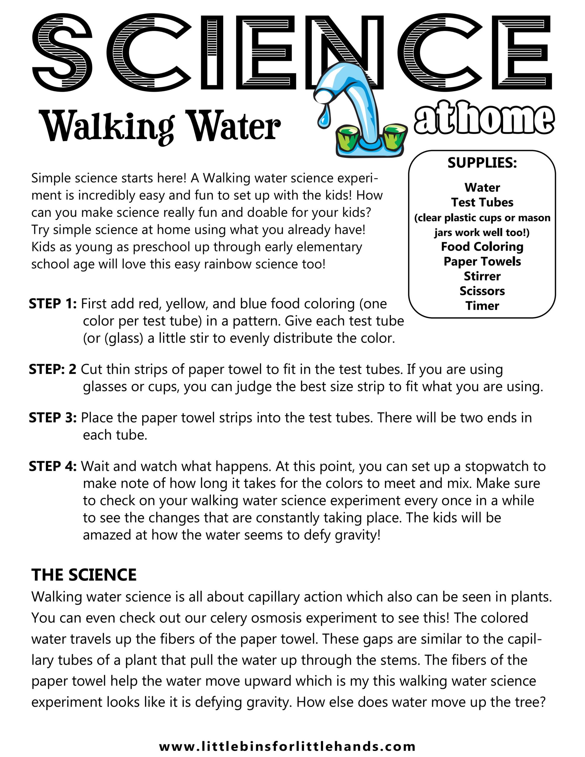 Walking Water Capillary Action Properties Download-images-0