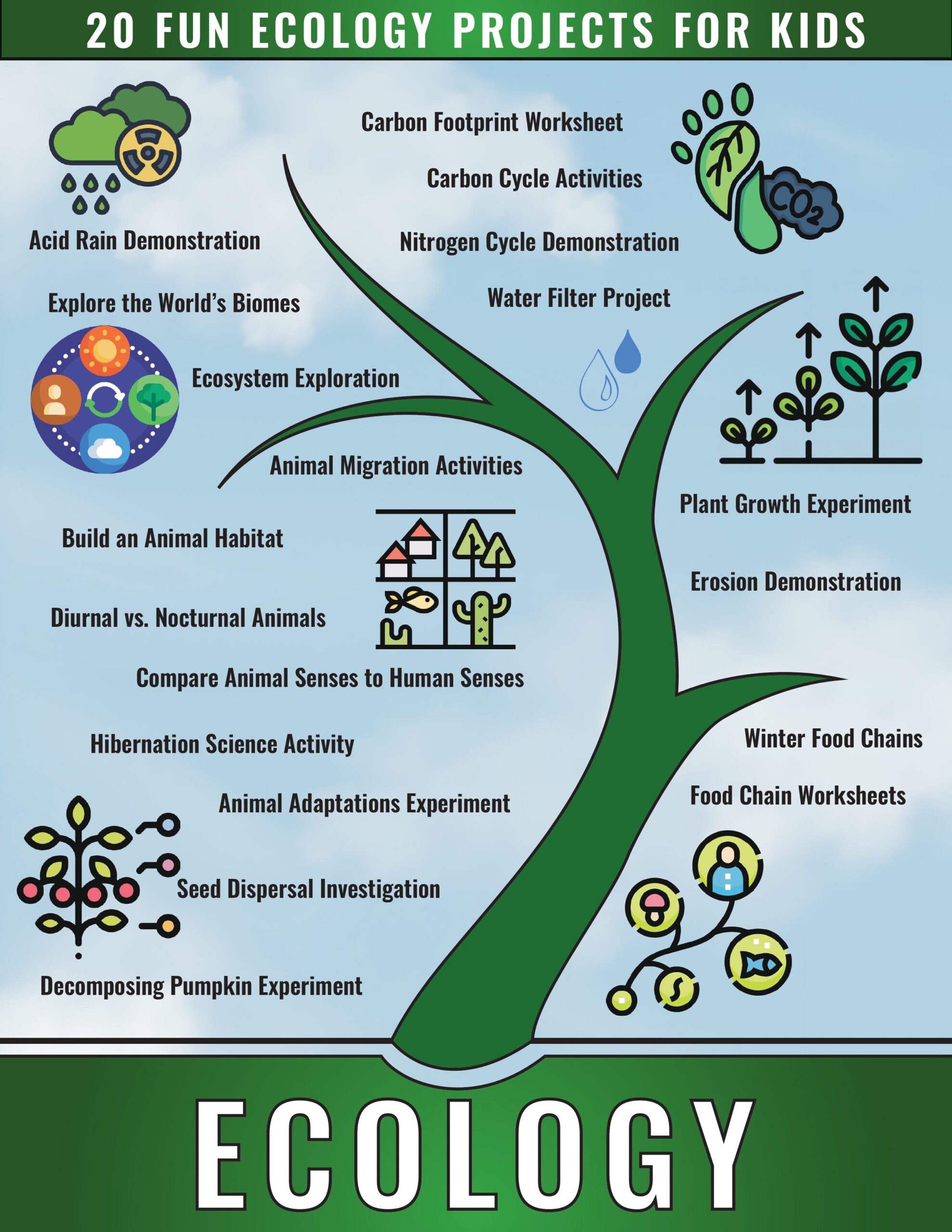 ecology